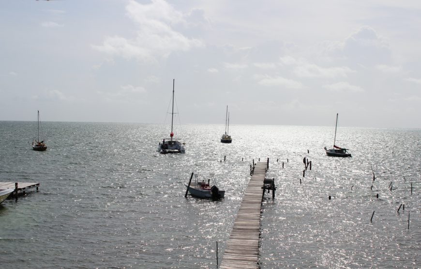 Snorkeling in Belize Hol Chan Marine Park Shark & Sting Ray Alley with Lunch on San Pedro