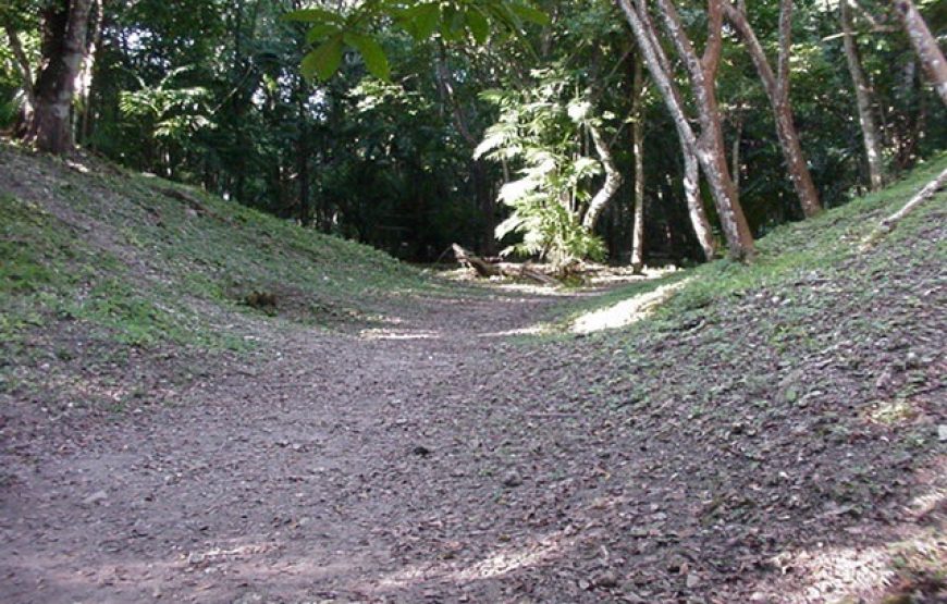 Lamanai Belize Tours
