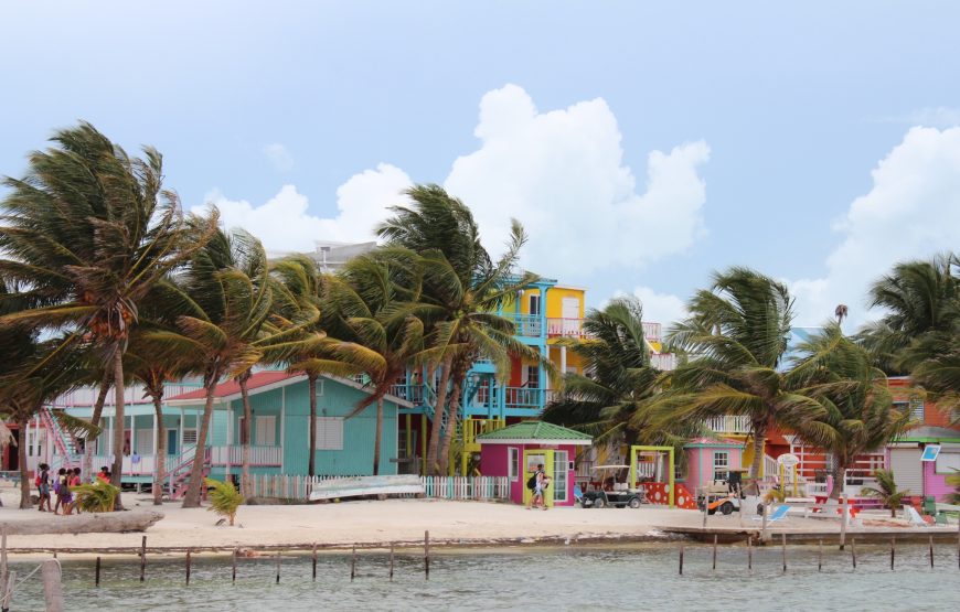 Snorkeling in Belize Hol Chan Marine Park Shark & Sting Ray Alley with Lunch on San Pedro