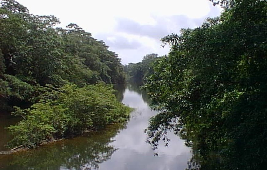 Lamanai Belize Tours
