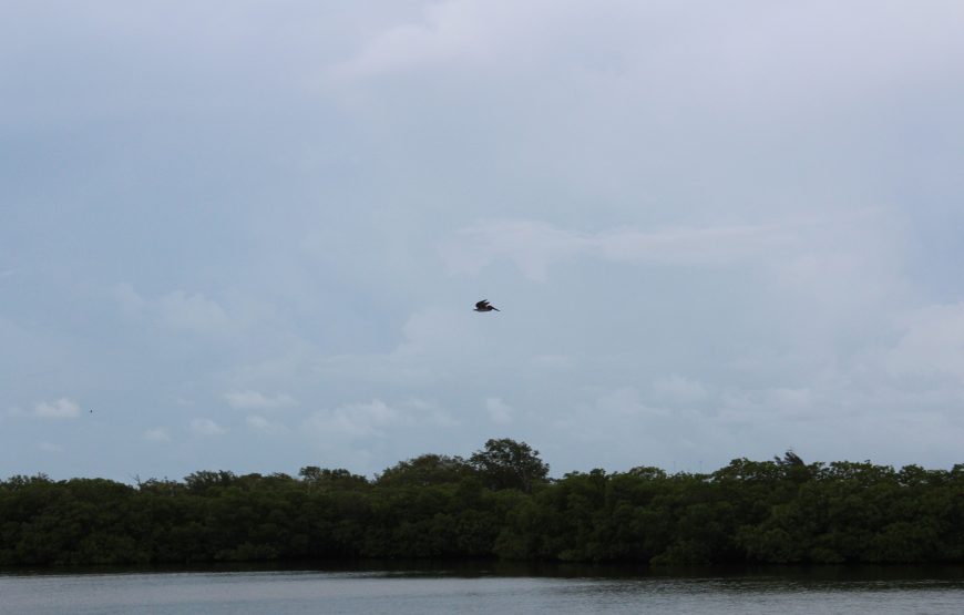 Lamanai Belize Tours
