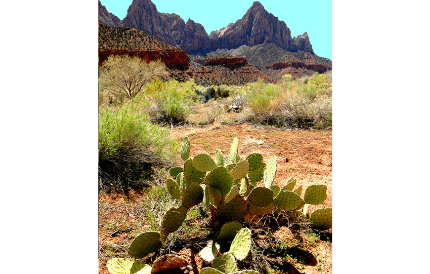 Bryce Canyon & Zion Park Tours from Las Vegas
