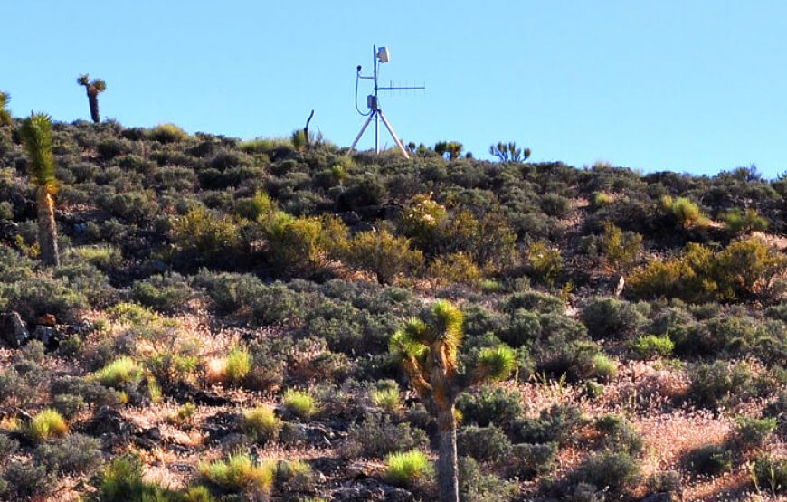 Area 51 Tours from Las Vegas