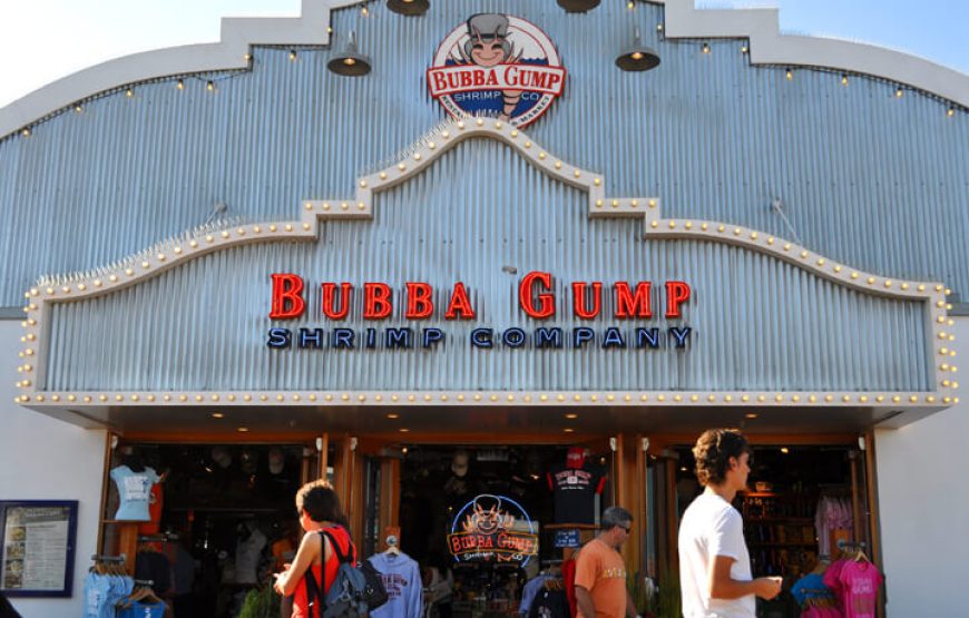 Hollywood Day Tour from Las Vegas plus Santa Monica Beach and Pier