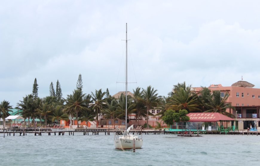 Snorkeling in Belize Hol Chan Marine Park Shark & Sting Ray Alley with Lunch on San Pedro