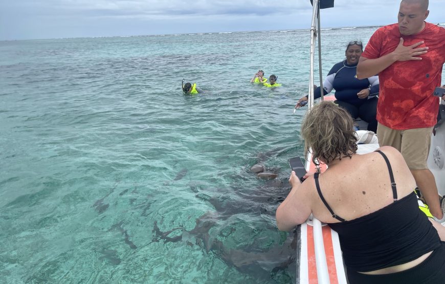Snorkeling in Belize Hol Chan Marine Park Shark & Sting Ray Alley with Lunch on San Pedro