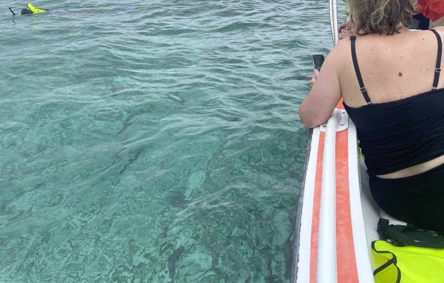 Snorkeling in Belize Hol Chan Marine Park Shark & Sting Ray Alley with Lunch on San Pedro