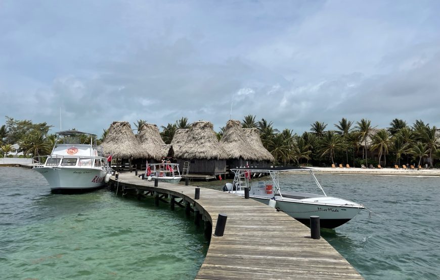 Snorkeling in Belize Hol Chan Marine Park Shark & Sting Ray Alley with Lunch on San Pedro