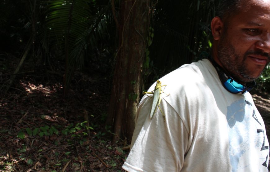 Lamanai Belize Tours