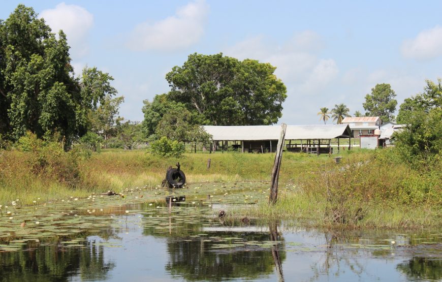 Lamanai Belize Tours