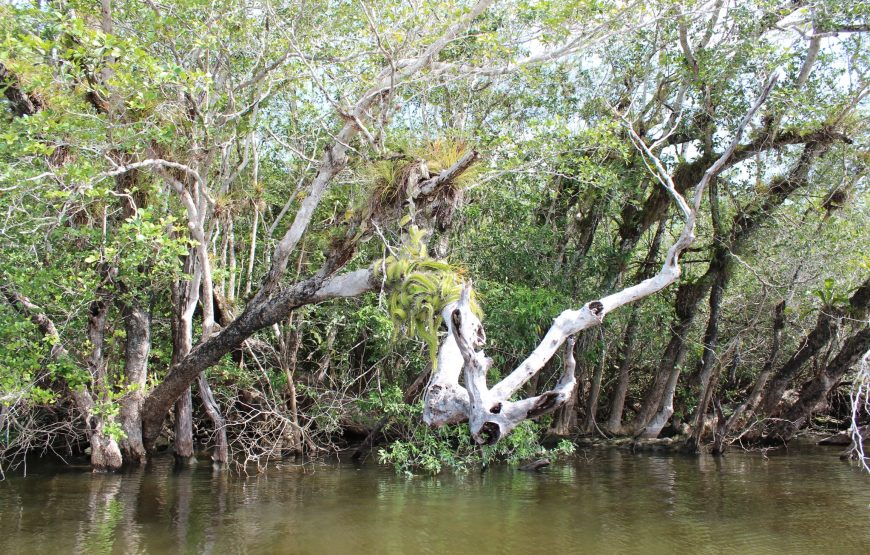 Lamanai Belize Tours