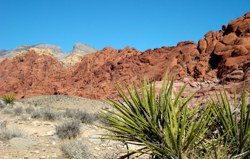 Red Rock Canyon Tours from Las Vegas