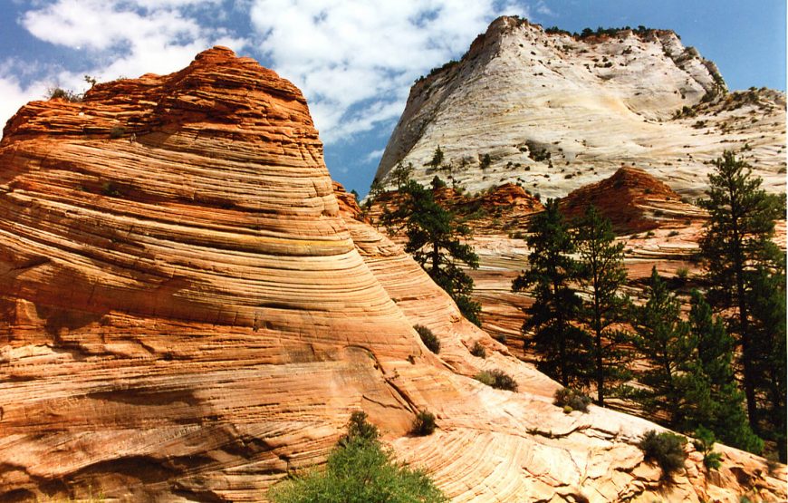 Zion National Park Tour from Las Vegas