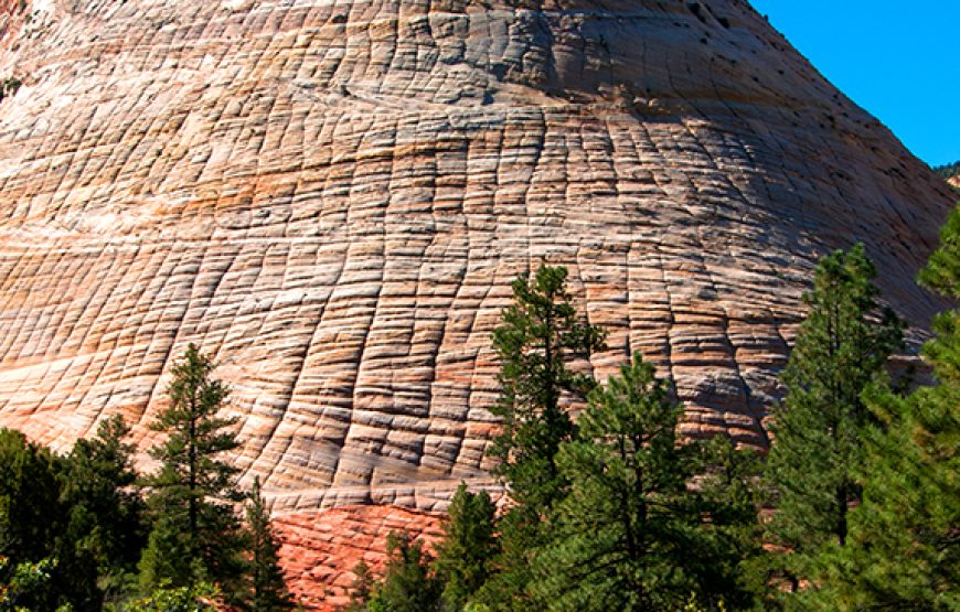 Bryce Canyon & Zion Park Tours from Las Vegas