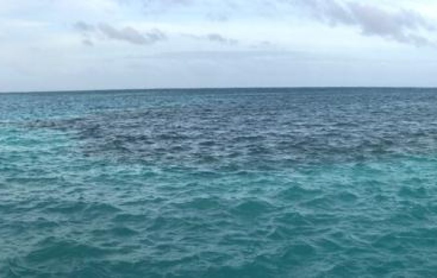 Snorkeling in Belize Hol Chan Marine Park Shark & Sting Ray Alley with Lunch on San Pedro